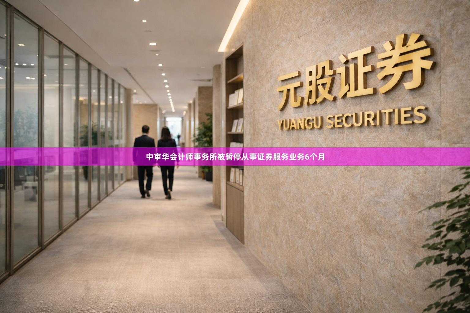 中审华会计师事务所被暂停从事证券服务业务6个月