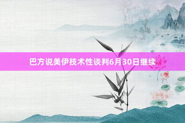 巴方说美伊技术性谈判6月30日继续