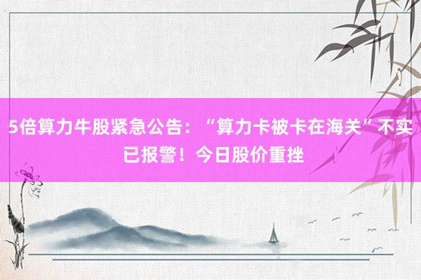 5倍算力牛股紧急公告：“算力卡被卡在海关”不实 已报警！今日股价重挫
