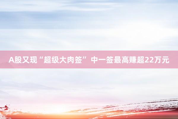 A股又现“超级大肉签” 中一签最高赚超22万元