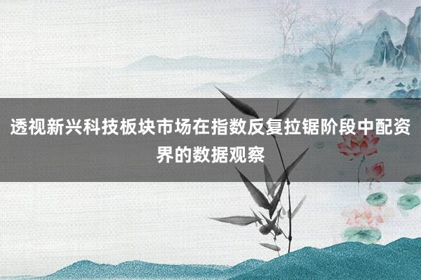 透视新兴科技板块市场在指数反复拉锯阶段中配资界的数据观察