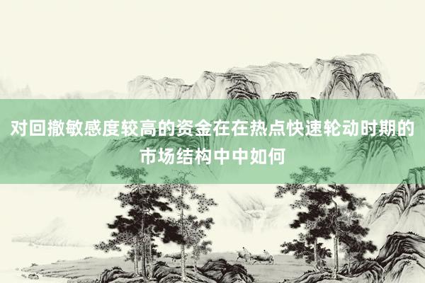 对回撤敏感度较高的资金在在热点快速轮动时期的市场结构中中如何