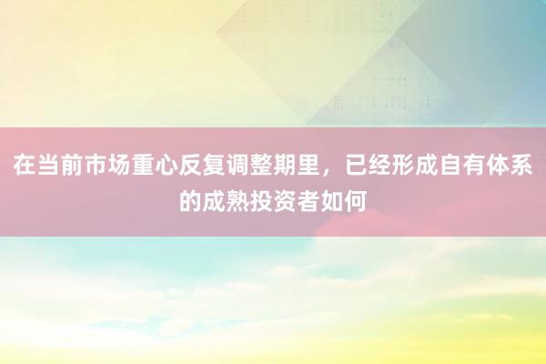 在当前市场重心反复调整期里，已经形成自有体系的成熟投资者如何