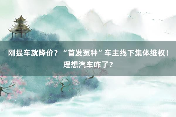 刚提车就降价？“首发冤种”车主线下集体维权！理想汽车咋了？