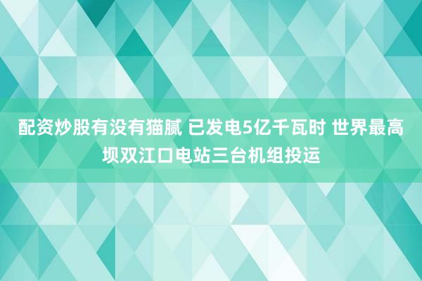 配资炒股有没有猫腻 已发电5亿千瓦时 世界最高坝双江口电站三台机组投运