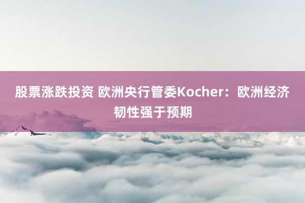 股票涨跌投资 欧洲央行管委Kocher：欧洲经济韧性强于预期