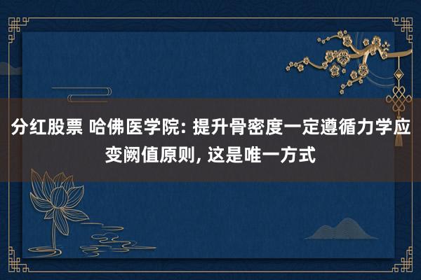 分红股票 哈佛医学院: 提升骨密度一定遵循力学应变阙值原则, 这是唯一方式