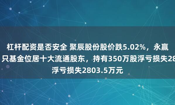 杠杆配资是否安全 聚辰股份股价跌5.02%，永赢基金旗下1只基金位居十大流通股东，持有350万股浮亏损失2803.5万元