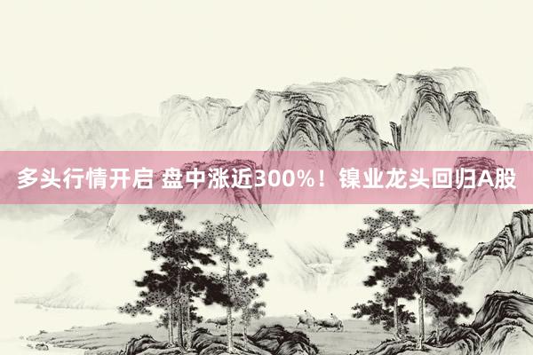 多头行情开启 盘中涨近300%!镍业龙头回归A股