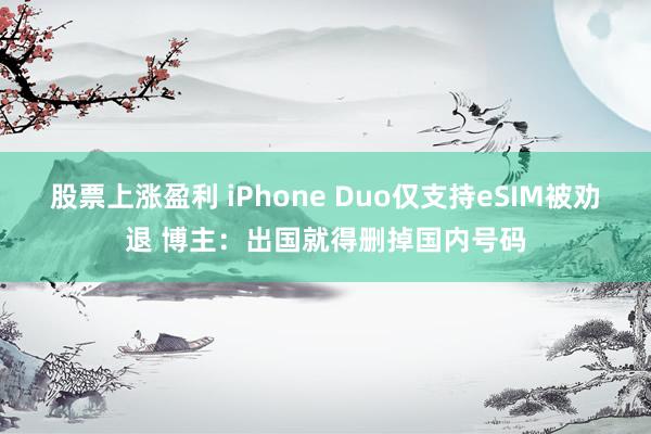 股票上涨盈利 iPhone Duo仅支持eSIM被劝退 博主：出国就得删掉国内号码