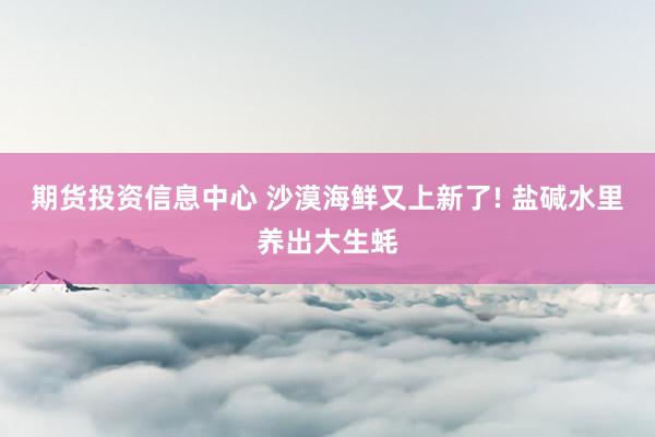期货投资信息中心 沙漠海鲜又上新了! 盐碱水里养出大生蚝